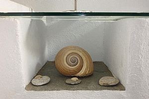 Shell / Κοχύλι